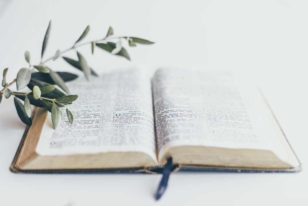 Bible BSMAR web 1000