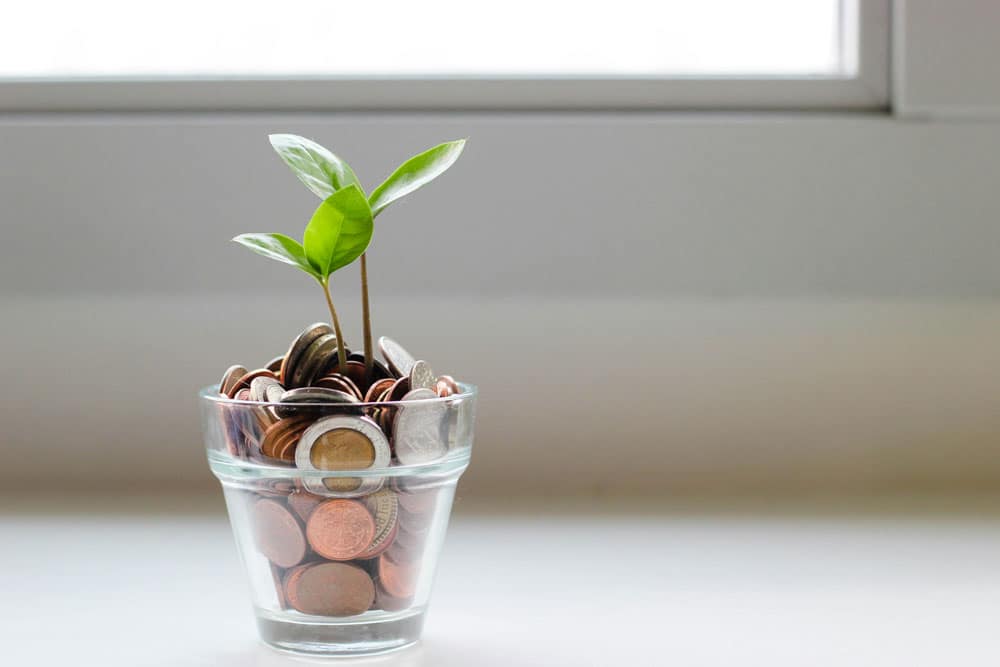 Money Tree image of a glass jar full of coins with a plant growing out of it