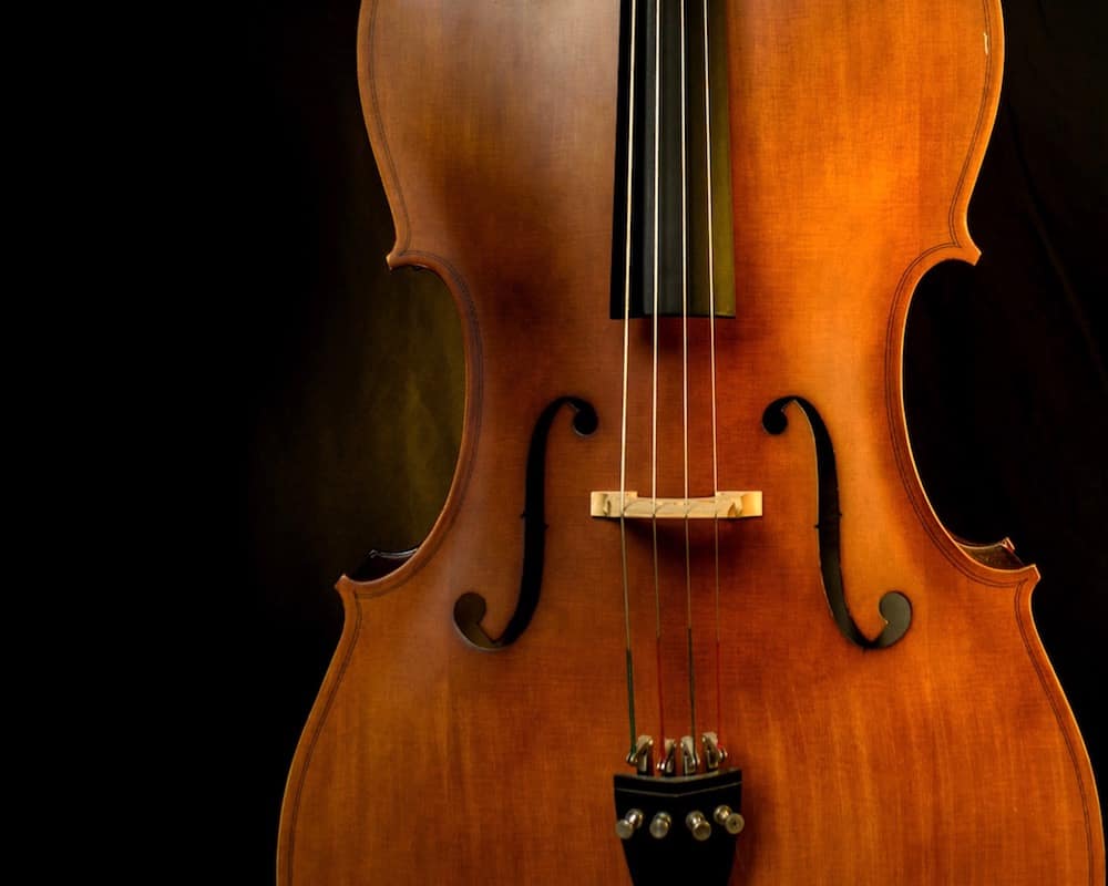 music3web1000