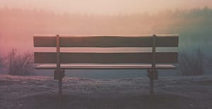 benchweb 1000 e1588176028607