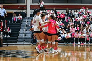 Dig Pink web 1000