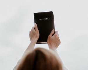bible3web500