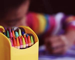 elementary ed2web500