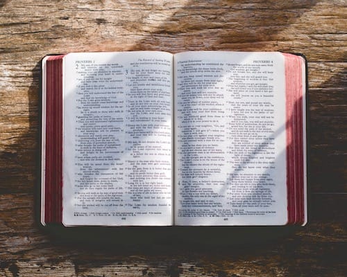 bible2web500