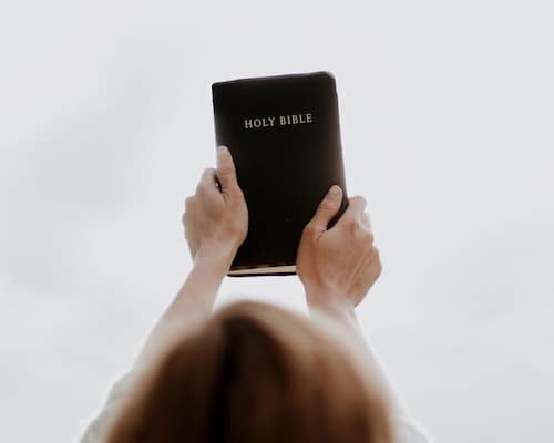 bible3web500